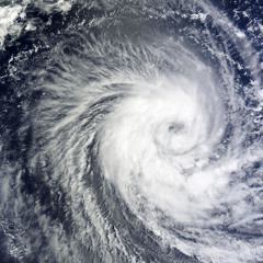 Schwellbrand neue Welt