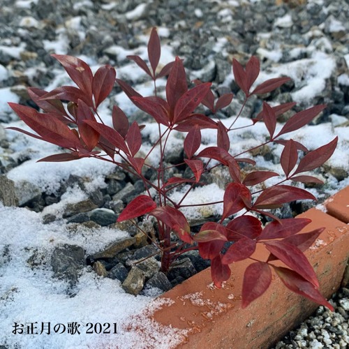 Stream お正月の歌 21 By 襟衣咲斗 Listen Online For Free On Soundcloud