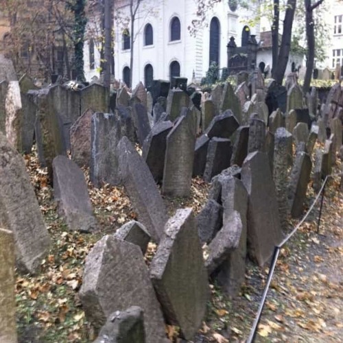 мёртвых нас