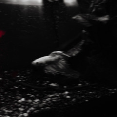 Gnomen - Exit (Bandcamp)