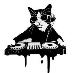 🍫🍫 SEP_TUN play TECHNO 13.11.2024 TikTok 🍫🍫