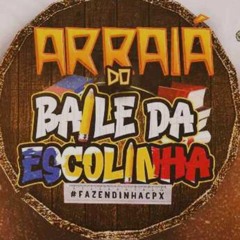 NEGO DO BOREL FT ALEF -BAILE DA ESCOLINHA  ( DJ LULA DO JACA E POLYVOX DA NH )