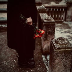 شب می رود_قسمت آخر