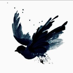 DISTURBING THE PEACE