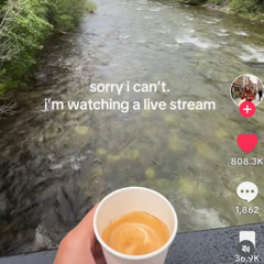 albaniamaxxing (shitpost)