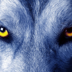 We Cried Wolf
