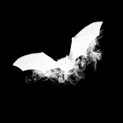 Göründüğü Kadar Kolay Değil !