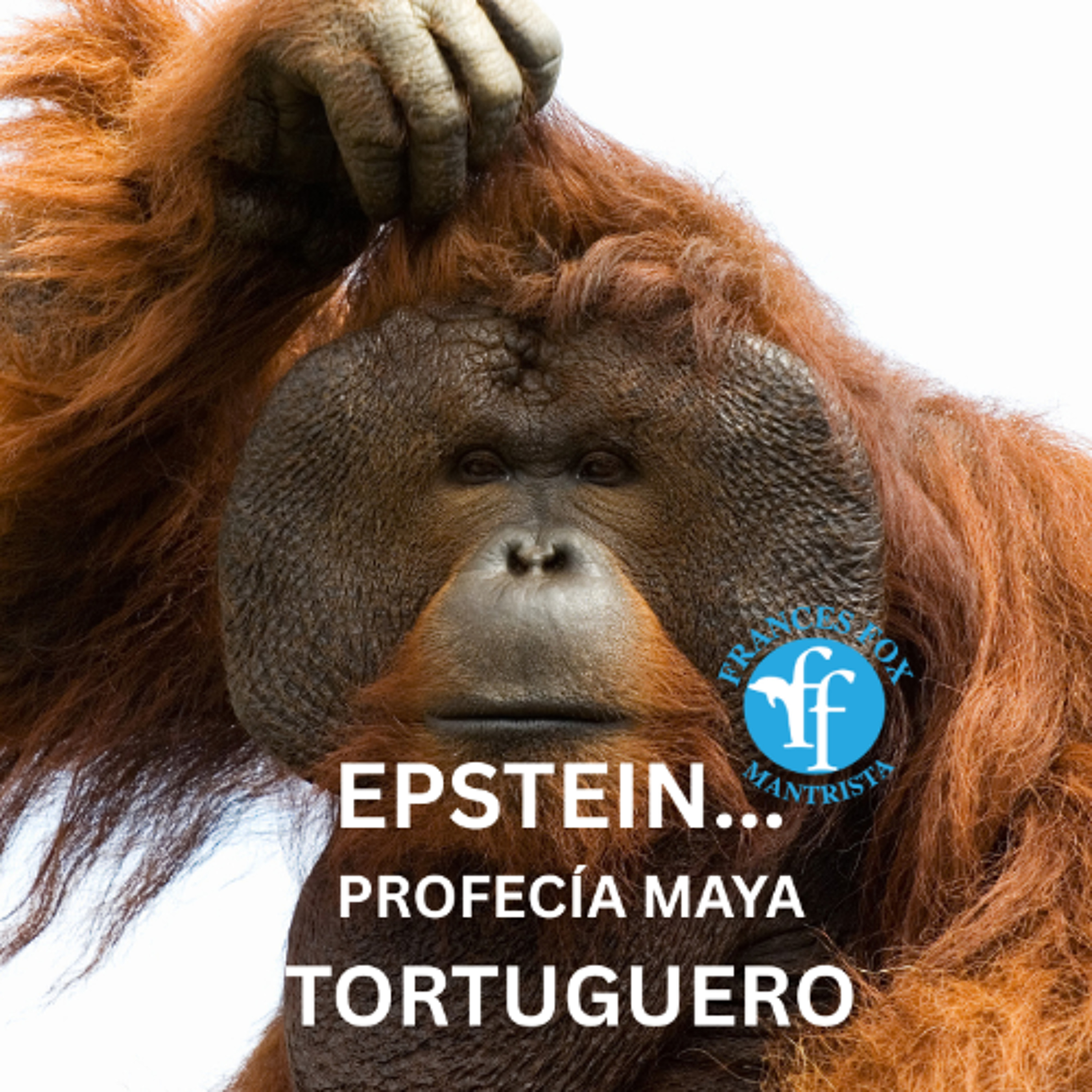 EPSTEIN Y LA PROFECÍA MAYA TORTUGUERO ¿SUBESTIMAMOS A LOS MAYAS?