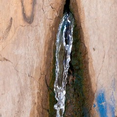 Wet Crack !-- ORIGINAL  Reggae (Sabba  & Jezebel)