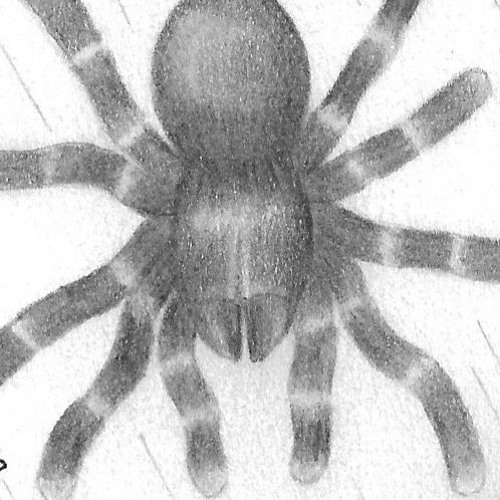 Hiphop but different????