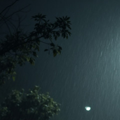 Rain in the dark