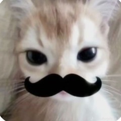 Nido - Want some more