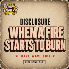 Disclosure - When A Fire Starts To Burn (Wave Wave Edit)