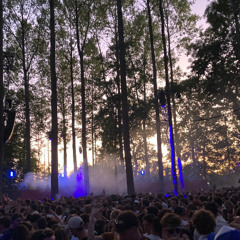 Walk Through The Forest
