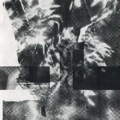 Amb22