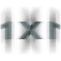 1x1