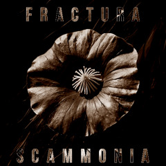 02. Fractura - Don´t Panic