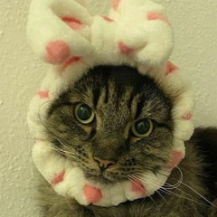 Liang Wan Mi (两碗米) - Sharik's Walk