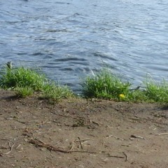 Rusalka Water Wind Fowl Trains