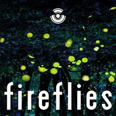 fireflies
