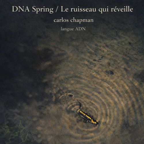 Pochette de DNA spring wake up