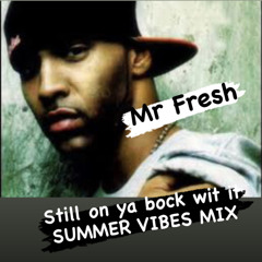MR FRESH- still on ya block wit it SUMMER VIBES MIX