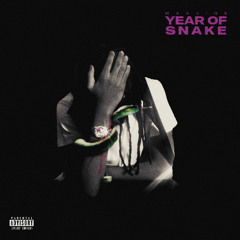 Year Of Snake