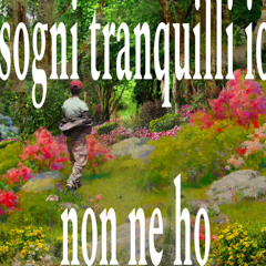 sogni tranquilli