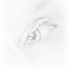 lights [toemuro + takecare04]