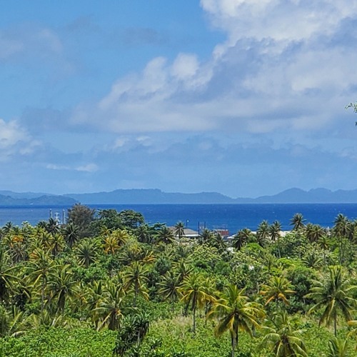 Û. Nônôm.  Sâiko...