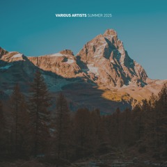 3AVLP087 | Best of 3rd Avenue | Summer 2025