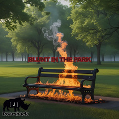 Blunt In The Park