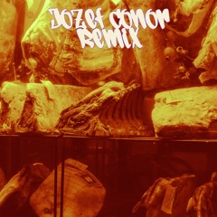Fight For You (Jozef Conor Remix)- Morgan Page