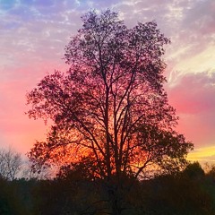 Only the World Outside