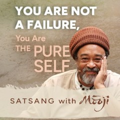 You Are Not A Failure, You Are The Pure Self