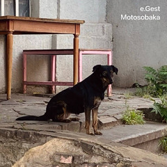 e.Gest - Motosobaka