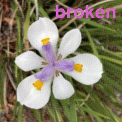 broken