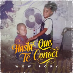 Hasta Que Te Conocí