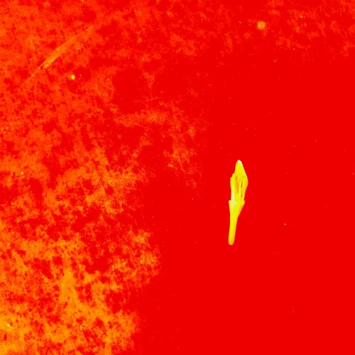 Red Drop (3steez) d0p3y zzz