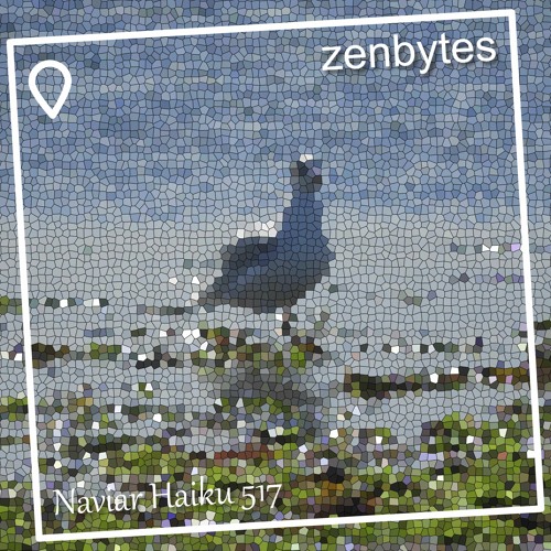 early dawn seagulls - Naviarhaiku 517