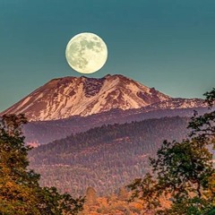 Armando Kroma@Moontribe December 2024