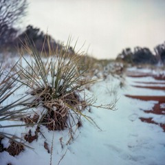 Winter Storm Warning
