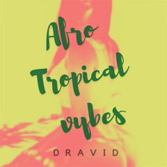 Afro Tropical Vybes - Summer / Pool party Jam