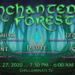 Enchanted Forest 3 Live DJ Set