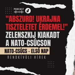 "Abszurd! Ukrajna tiszteletet érdemel!" Zelenszkij kiakadt a NATO-csúcson | Rendkívüli hírek