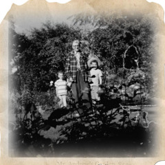 With Every Passing Season