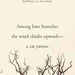 S'inerpica il vento tra i pensieri (naviarhaiku658)