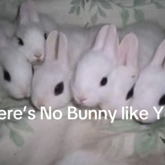 ive been stalking you more and more laughing and crying