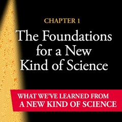 What We've Learned from NKS Chapter 1: The Foundations of a New Kind of Science