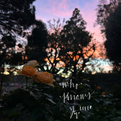 who knows full cover ~ daniel caesar